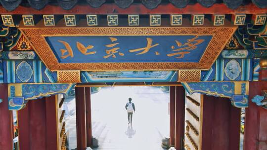 北京大学 门牌  空镜视频素材模板下载