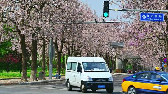 北京亦庄的梧桐大道花海街道