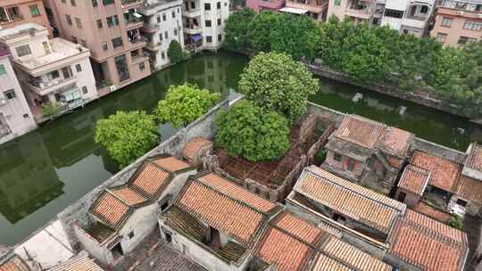 中国广东省东莞市虎门白沙村逆水流龟村堡