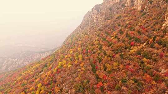 北京秋天司马台长城群山红叶大气航拍