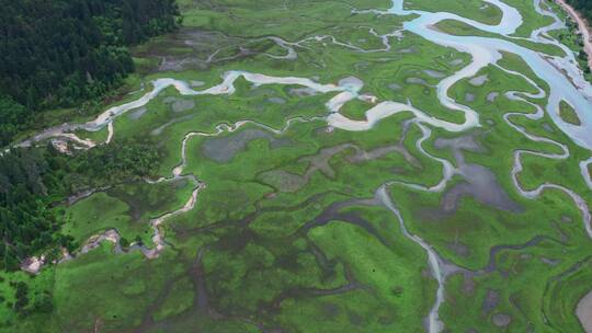 航拍西藏林芝新措河谷湿地风光