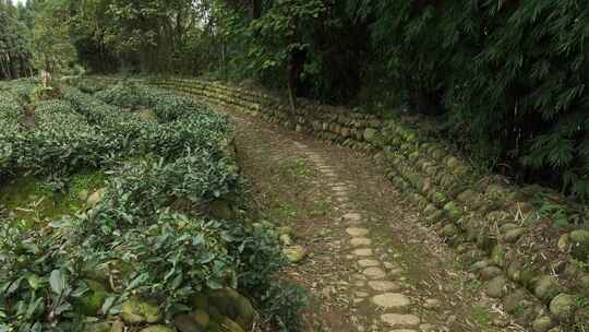 四川-茶马古道