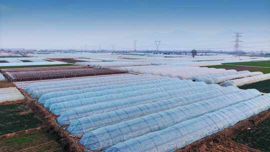 北方冬天大棚