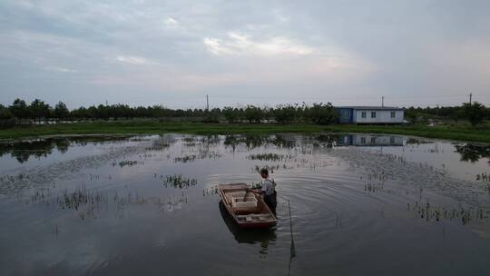 小龙虾养殖基地航拍