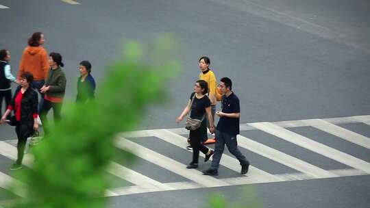 林荫道上停满车辆的城市街道景象