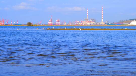 威海海岸港口码头工厂与蓝色海面风光