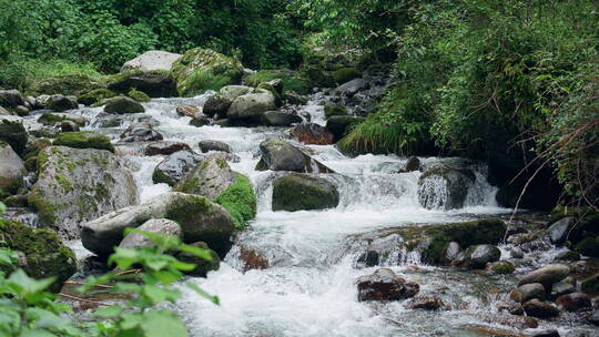 山中河流