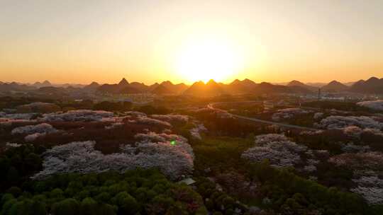 花海晚霞