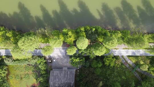 航拍农田农业种植世外桃源桃花源