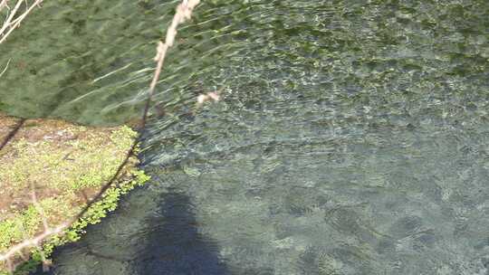 水面波纹近景