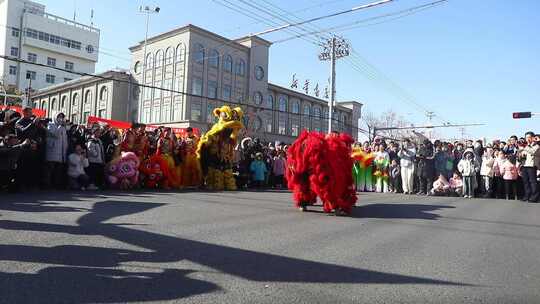 民俗展演闹新春