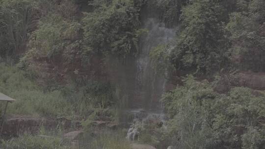 山间瀑布水流植物慢动作视频素材模板下载