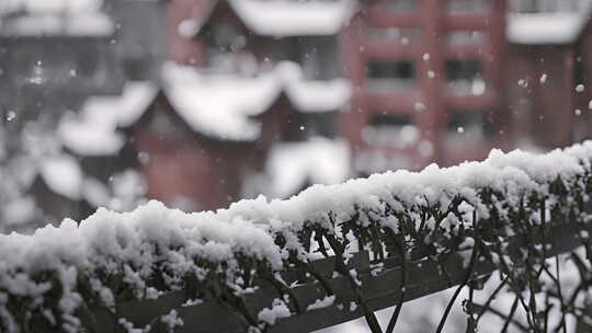 北京冬天雪景