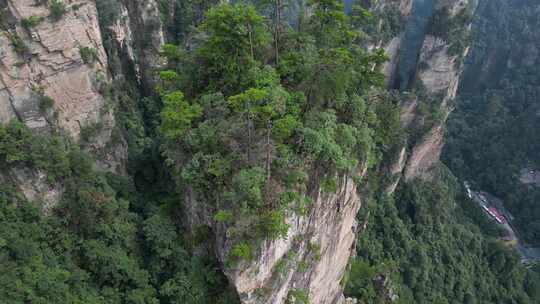 湖南省张家界景区阿凡达取景地奇峰穿云航拍