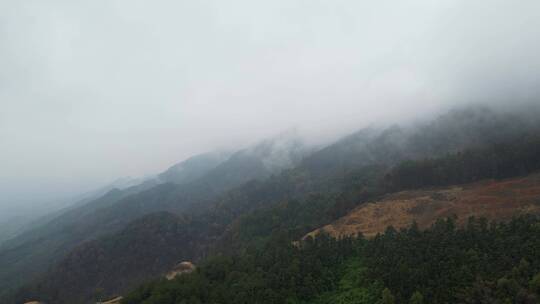 重庆山火后，北碚缙云山迎来降雨，云雾缭绕