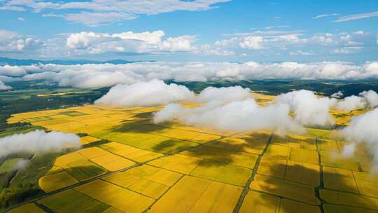 《我们的祖国歌甜花香》歌曲背景