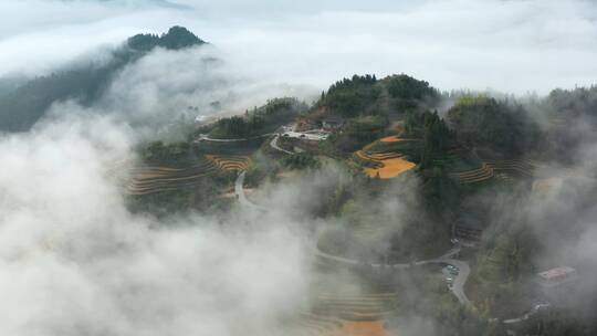 广西龙脊梯田秋季金色稻田仙境云海风光航拍