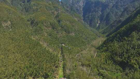 明月山风景区4