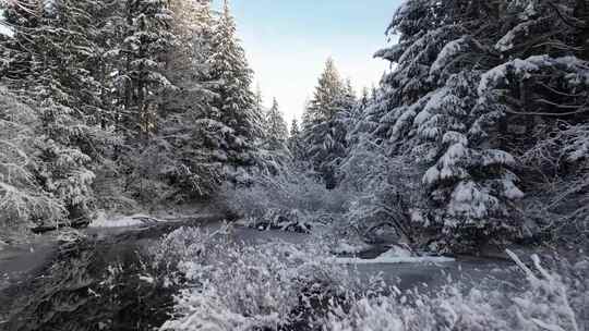 航拍冬季雪景森林河流