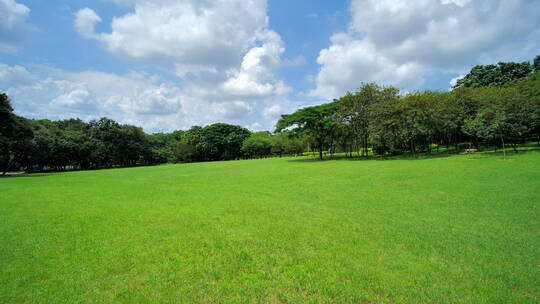 蓝天阳光草坪公园草地绿地