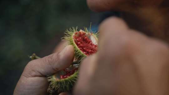 Huorani，人体彩绘，部落，传统