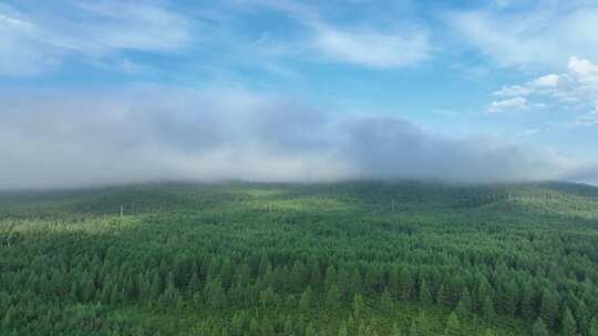 航拍辽阔青山森林云海