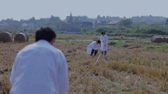 农田土壤研究现代农业育种基地