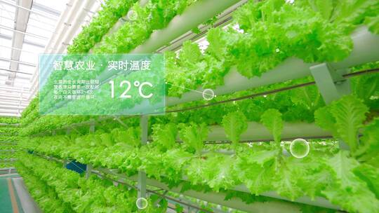 科技农业-智慧农业-温室大棚视频素材模板下载