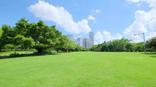 夏天蓝天白云阳光草坪草地绿地树林森林公园