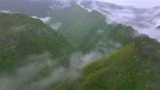 实拍雨后森林云雾缭绕 绿水青山 高山云海