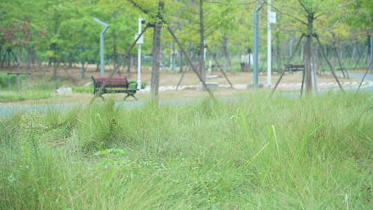 武汉光谷三路湿地公园风景