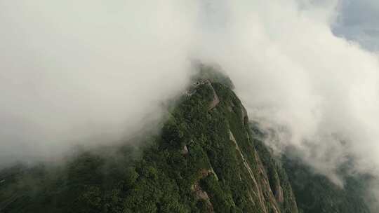 森林 猫儿山