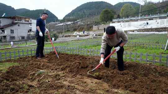 劳动空镜刨土锄地农场工人耕作劳作翻土