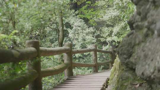 青城山栈道