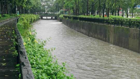 台风海葵登录深圳前