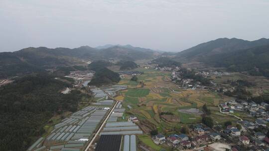 航拍农业种植农田农作物