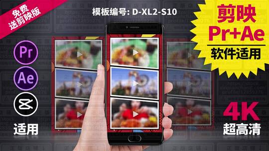 视频包装模板Pr+Ae+抖音剪映 D-XL2-S10