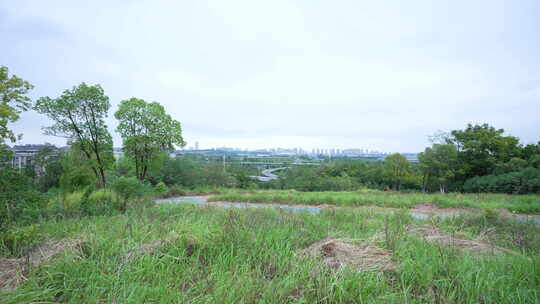 武汉光谷黄龙山公园