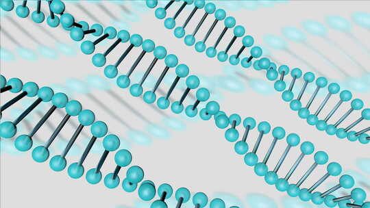 数字DNA