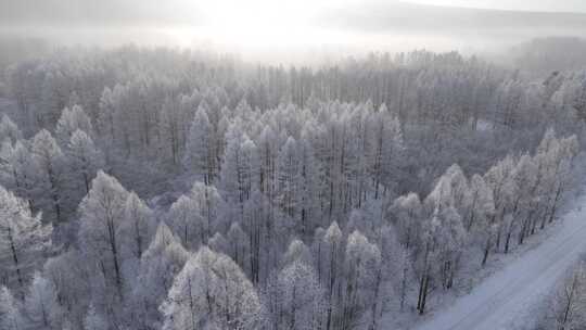 林海雪原雾凇暖阳