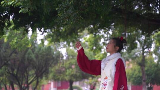 古装美女站在树下发呆伤感思念伸手摘树叶视频素材模板下载