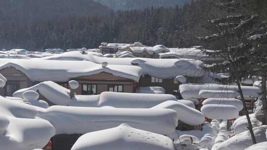 雪乡雪蘑菇