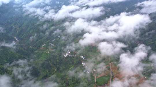 大雾清晨云雾大山云海森林自然云山脉山区