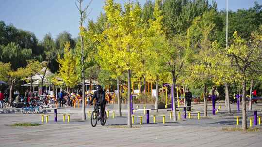 公园 骑车 银杏林 人物生活 金色秋天