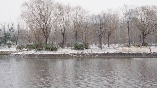 4K北方冬天公园湖面下雪实拍视频