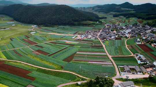 农业粮食丽江耕地田野调色板纳西族村庄