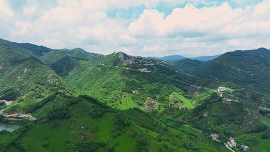 信阳茶山