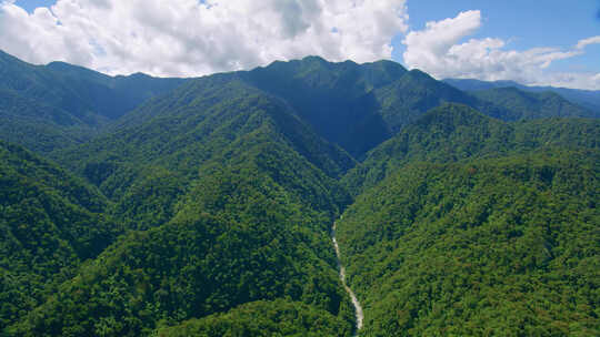 唯美绿色大山大景生机盎然