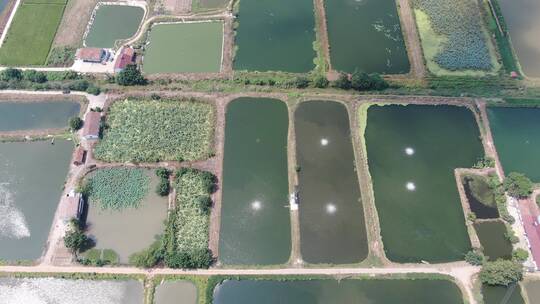 湖南岳阳洞庭湖鱼米之乡农业种植鱼塘航拍