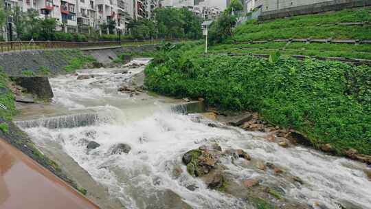 台风海葵登录深圳前